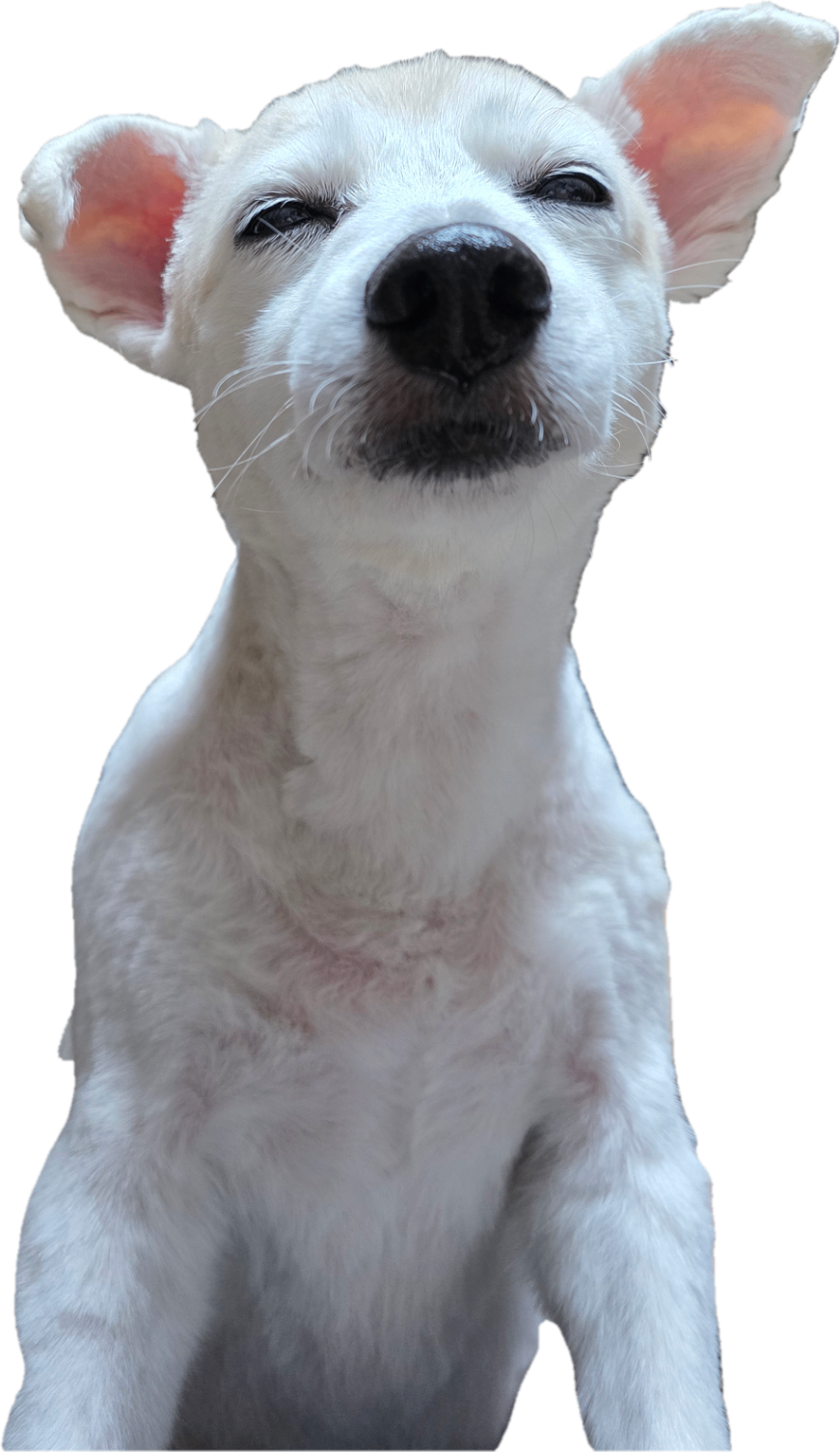 20251228_172656(1).png
