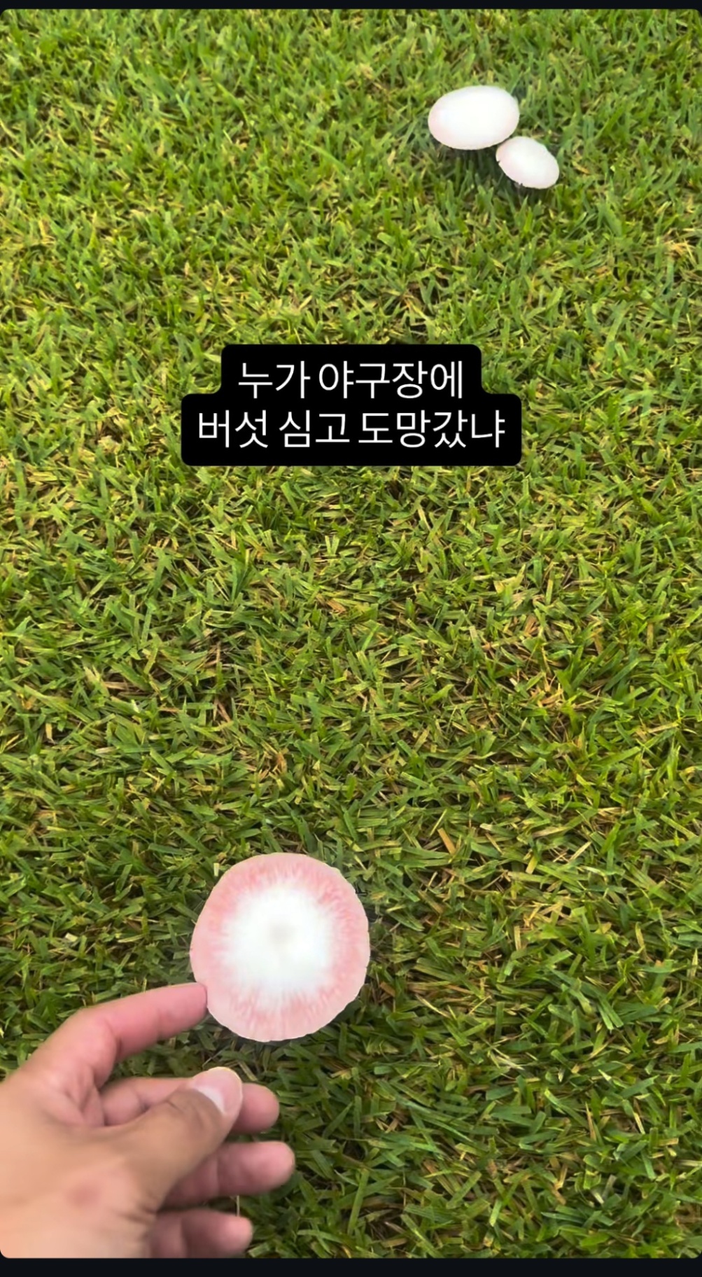 Screenshot_20260817_100047_Instagram.jpg