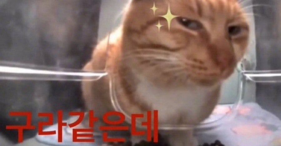 다운로드파일_20260511_160716.jpg