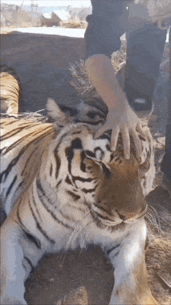 e62fdc90-6424-11ed-a6cb-1f1b9f9455c5_20260707_142834_423.gif