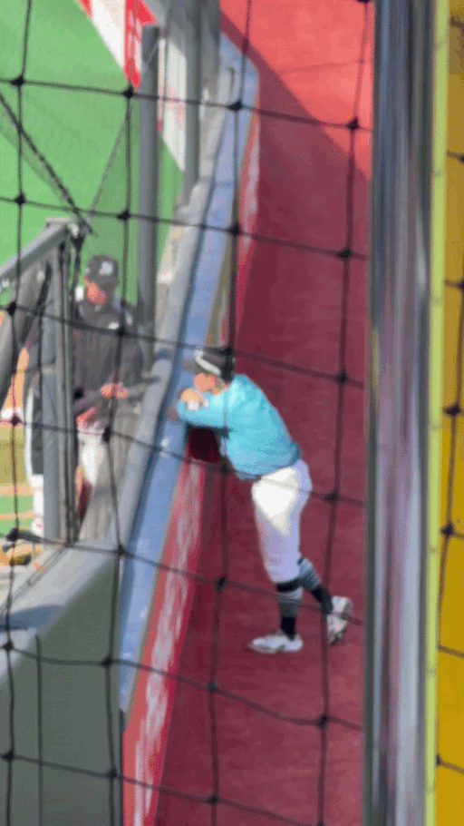 IMG_2140.gif