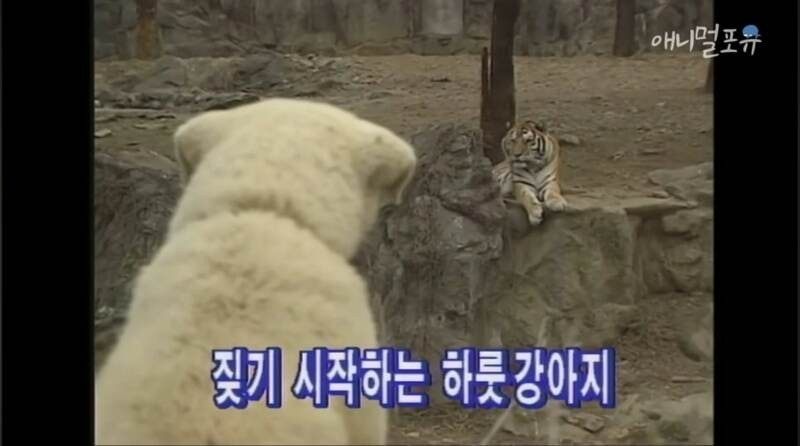 다운로드파일-1.jpg