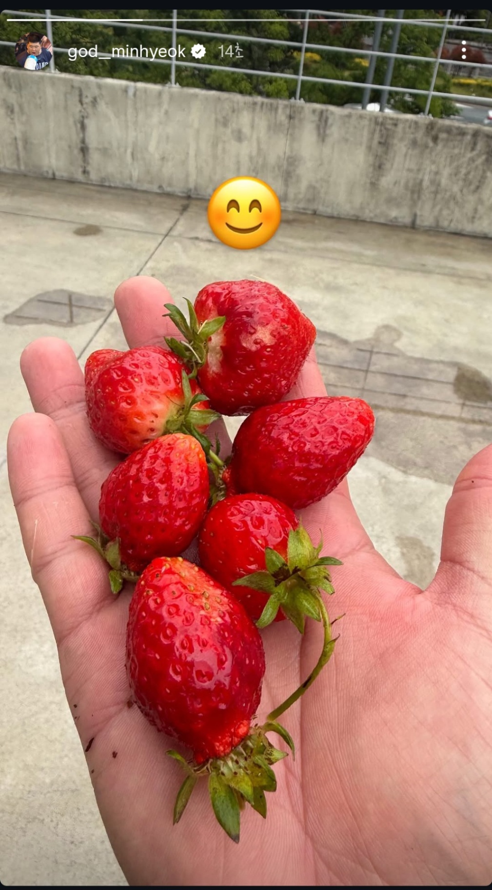 Screenshot_20260512_233142_Instagram.jpg