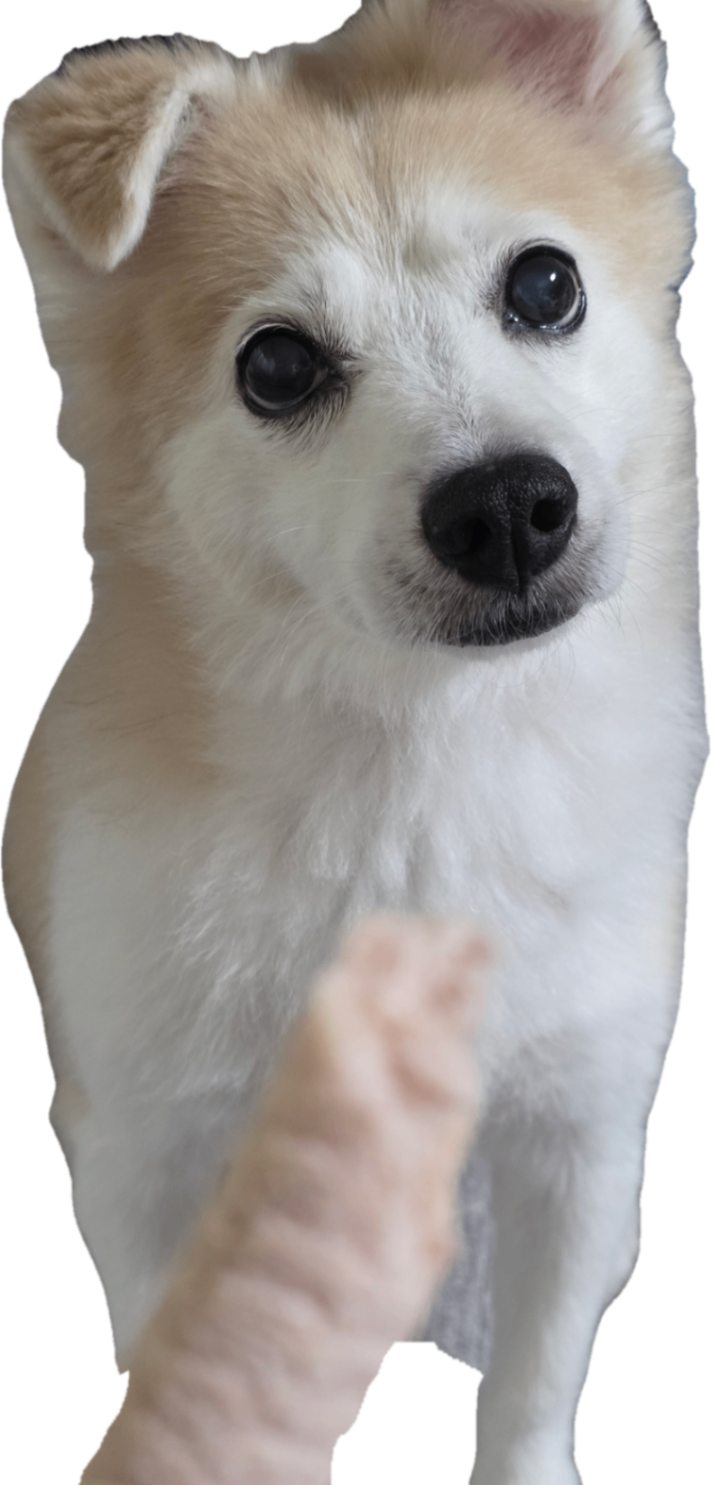 20260823_170022.png