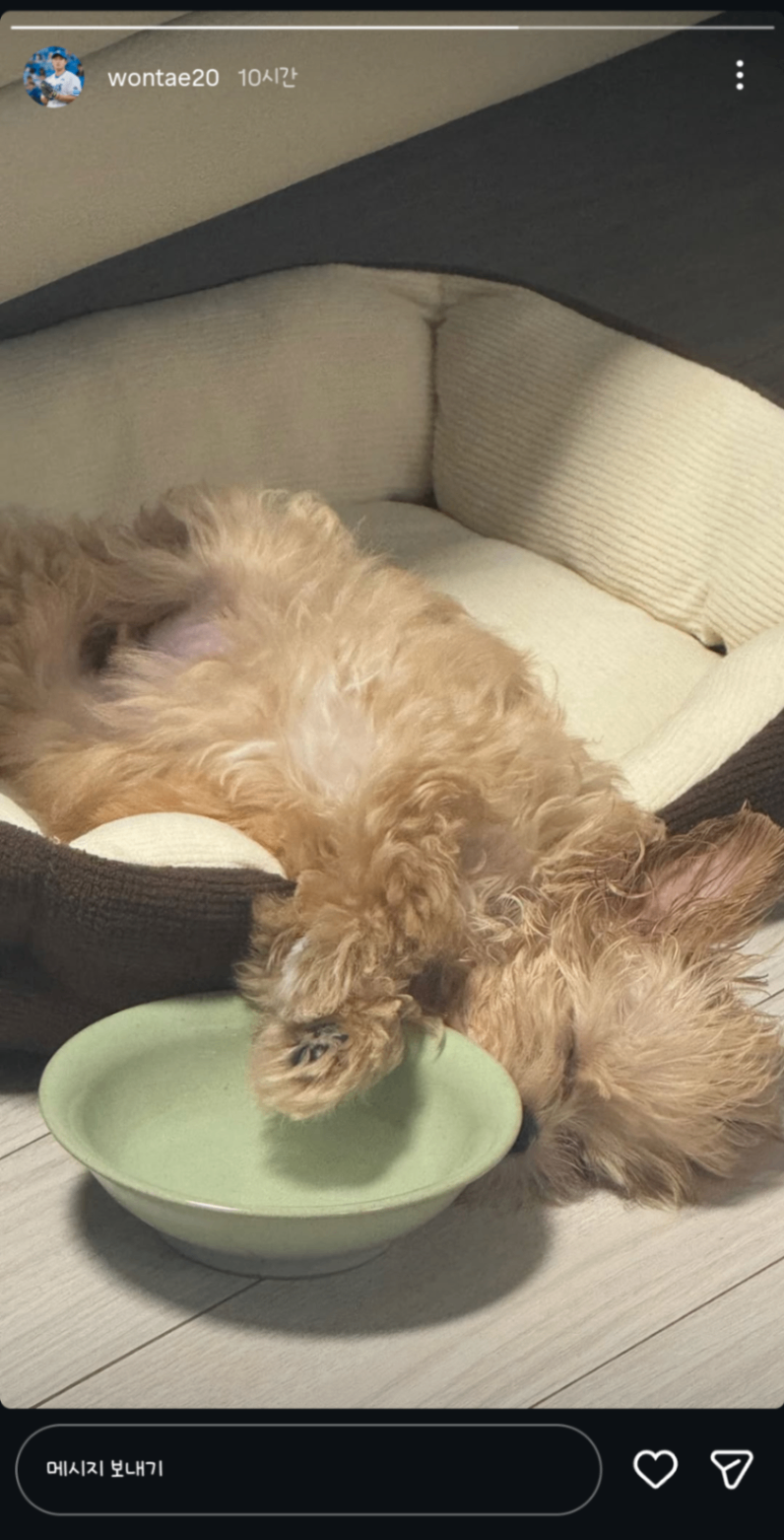 Screenshot_20260809_071819_Instagram.png