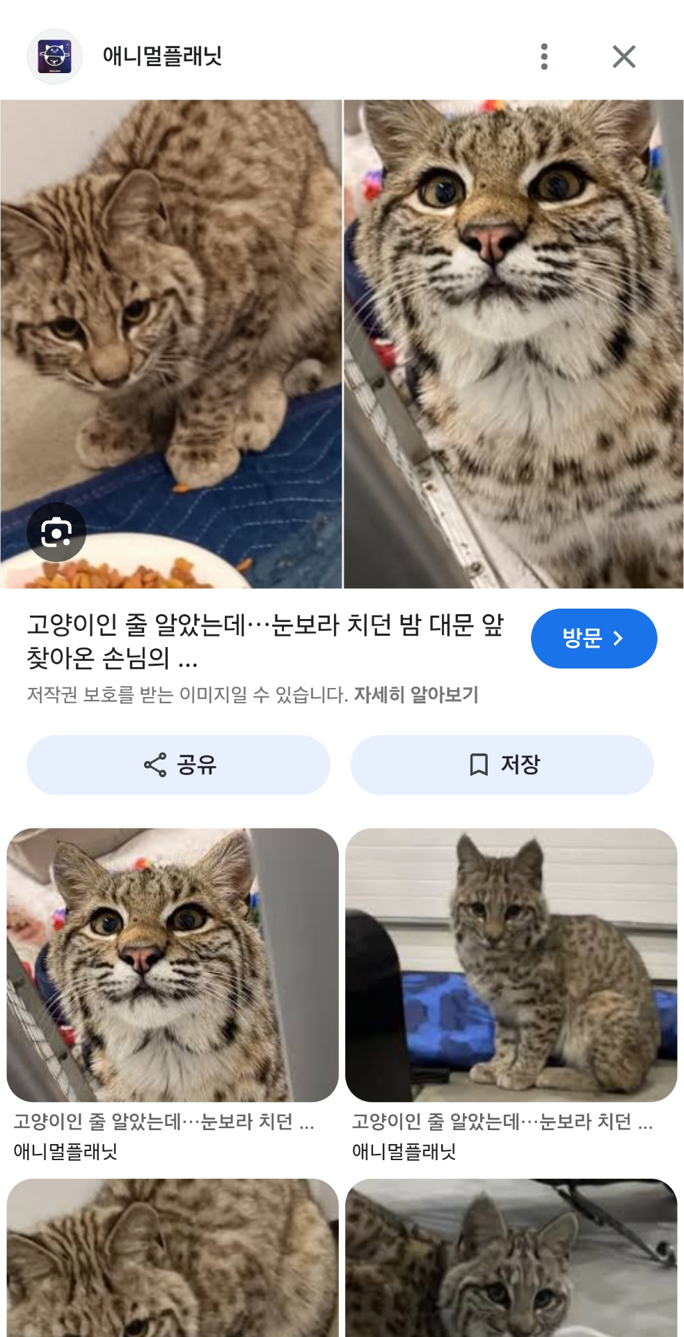 Screenshot_20260719_070527_Google.jpg