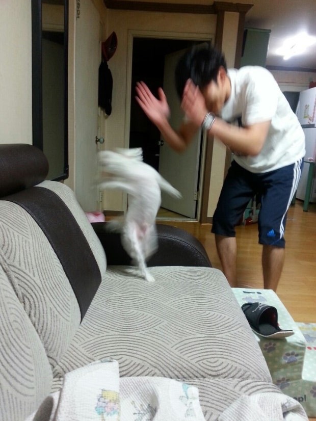 IMG_0822.jpeg