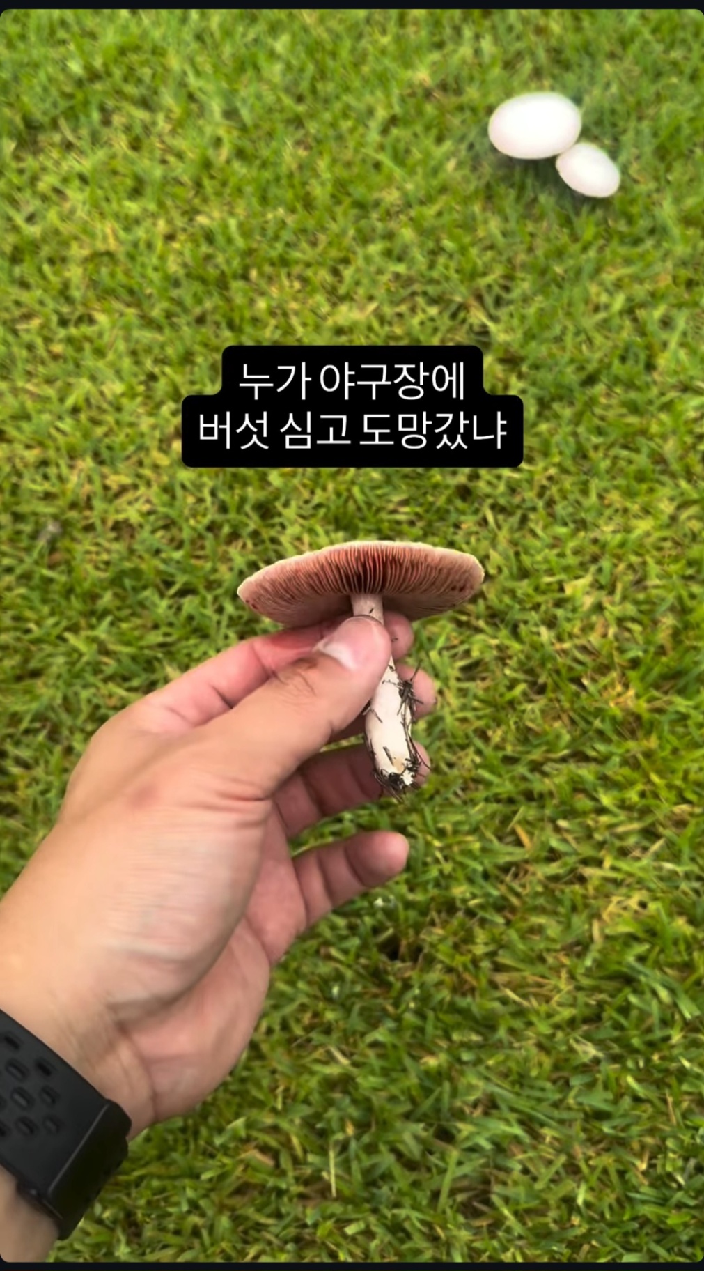 Screenshot_20260817_100051_Instagram.jpg