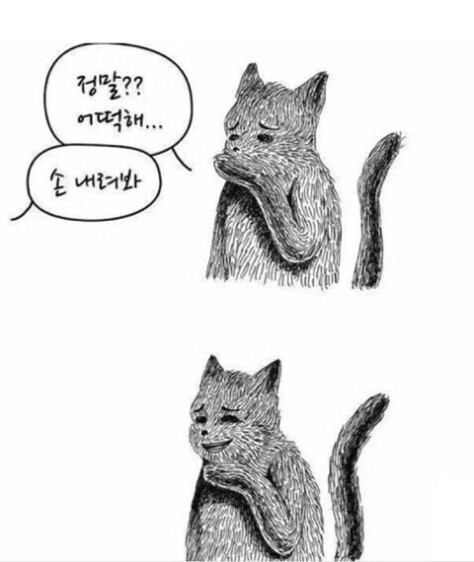손떼봐.jpeg