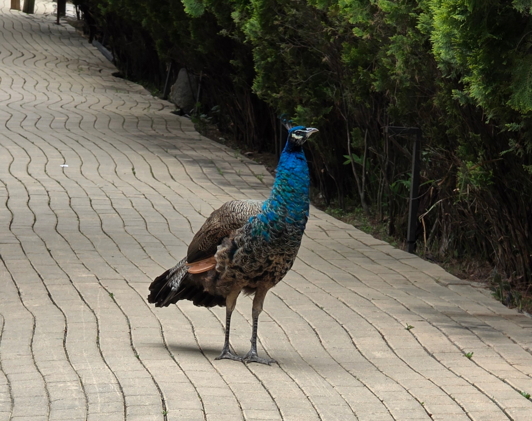 20260422_101442.jpg