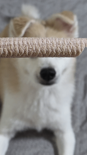 20260823_170113(1).gif