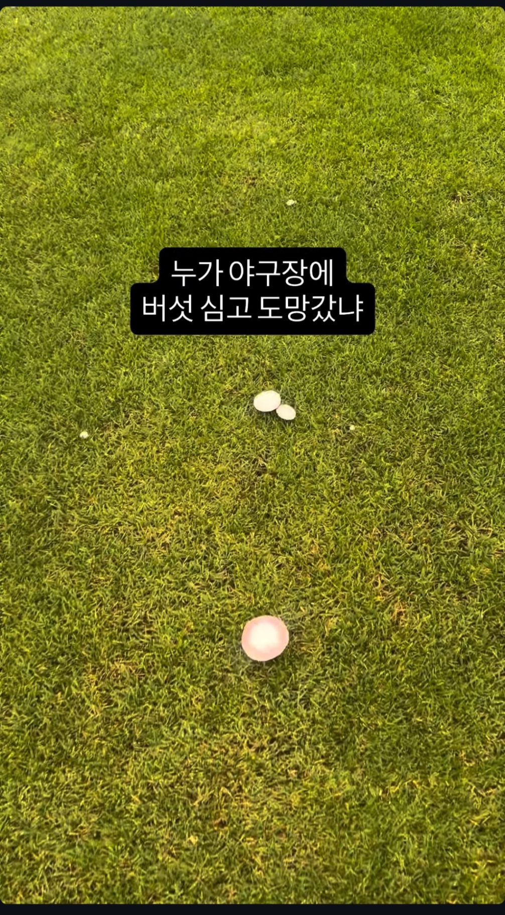 Screenshot_20260817_100042_Instagram.jpg