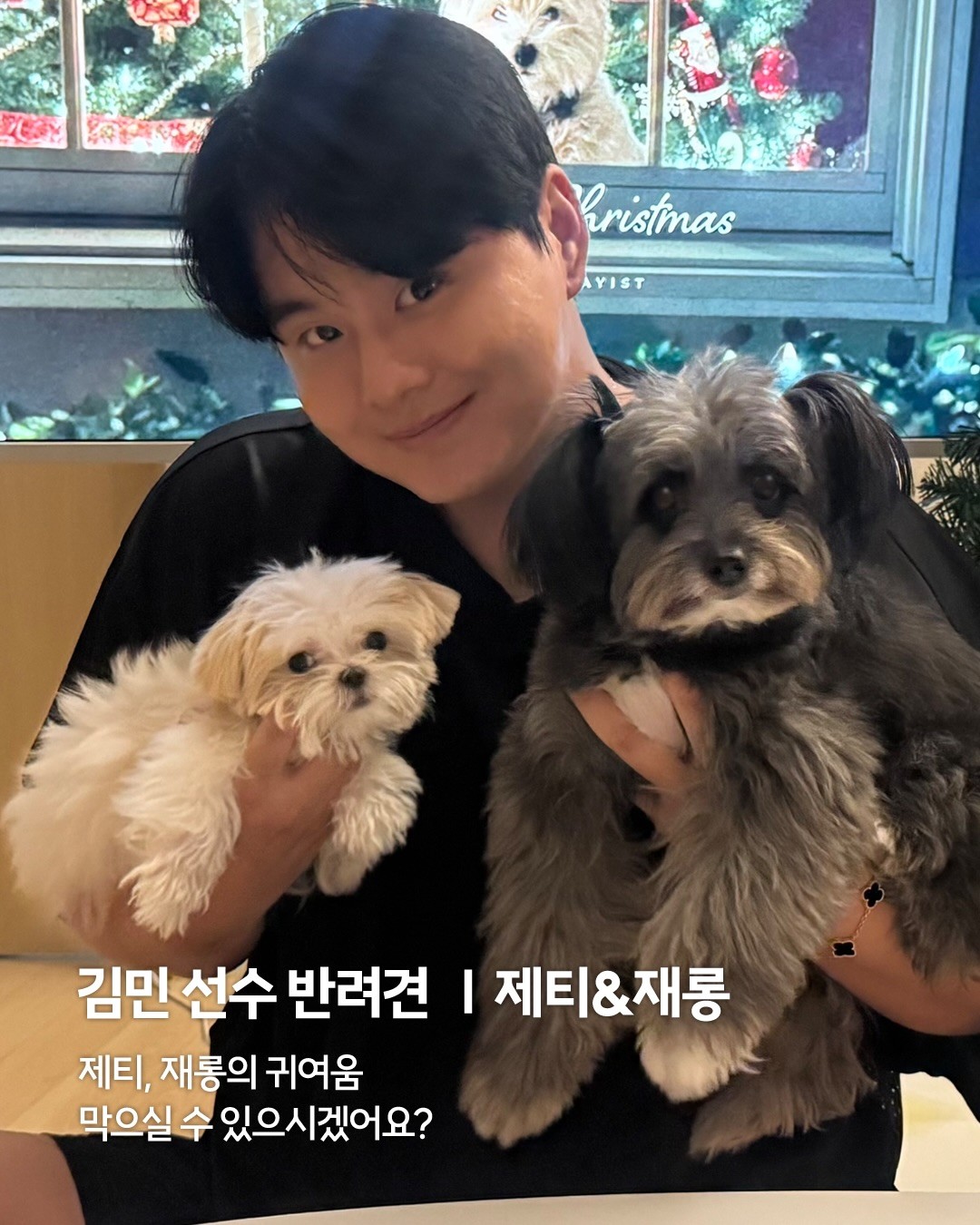 -🐕도그 데이 기념 랜댕이 모음🐶도그 데이를 맞아랜더스 선수들...의,반려견들을 소개합니다!랜더스 선수들의 일상에 늘 함께하는귀엽고 사랑스러운 랜댕이들 만나보세요.jpg