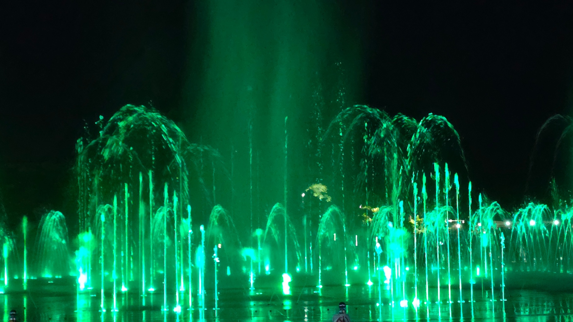 20260509_200814.jpg