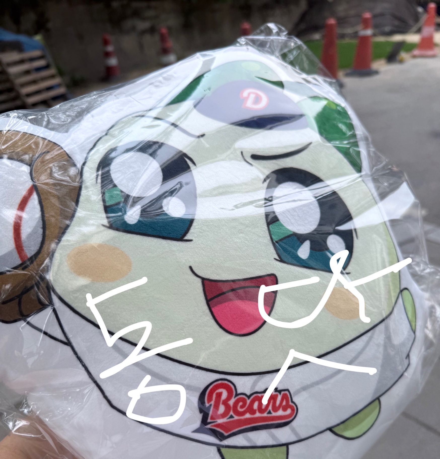 IMG_6244.jpeg