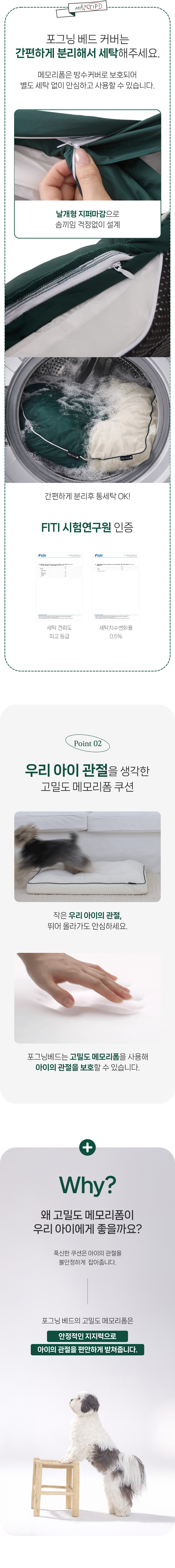 06.jpg