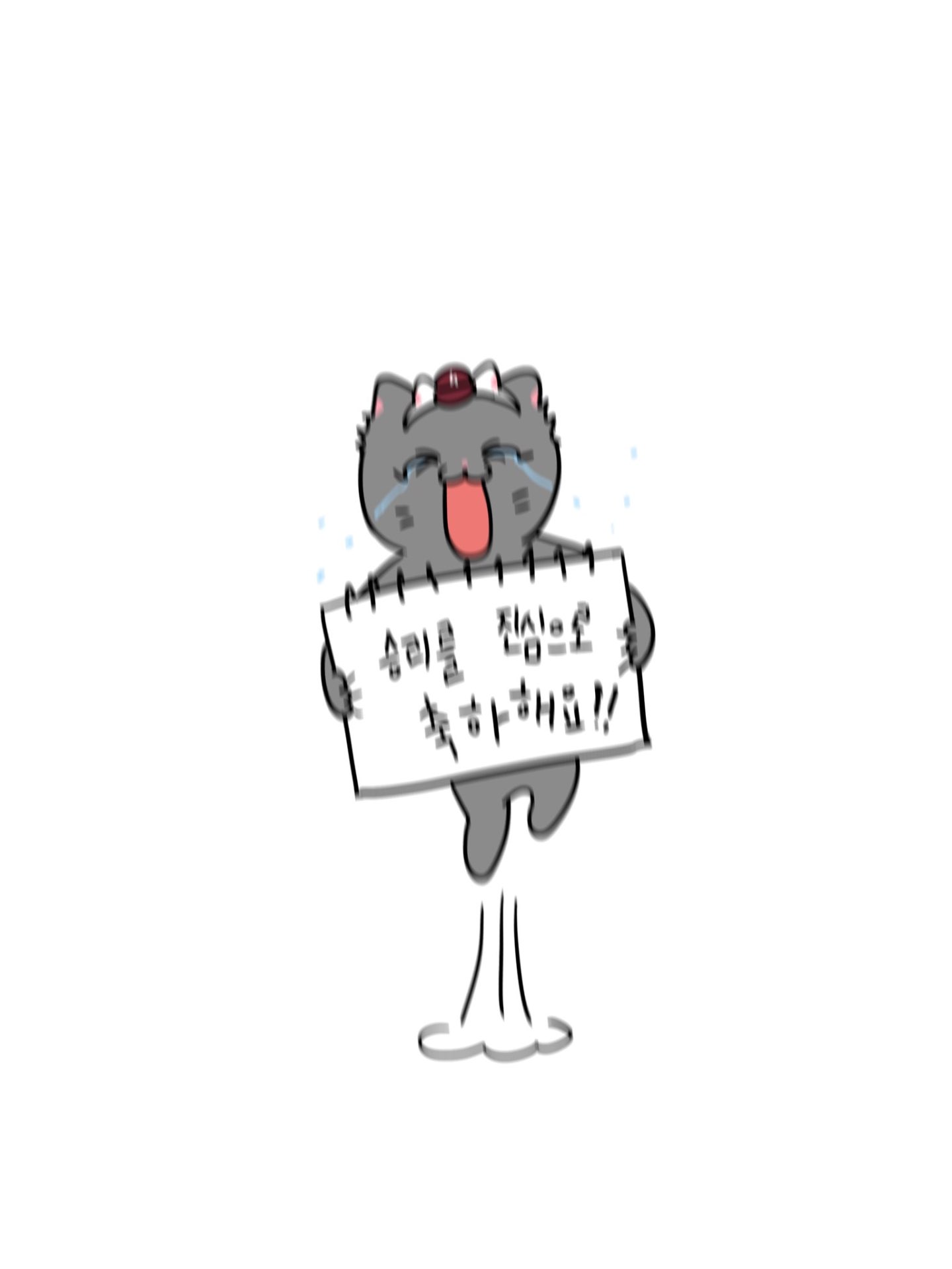 IMG_6353.jpeg