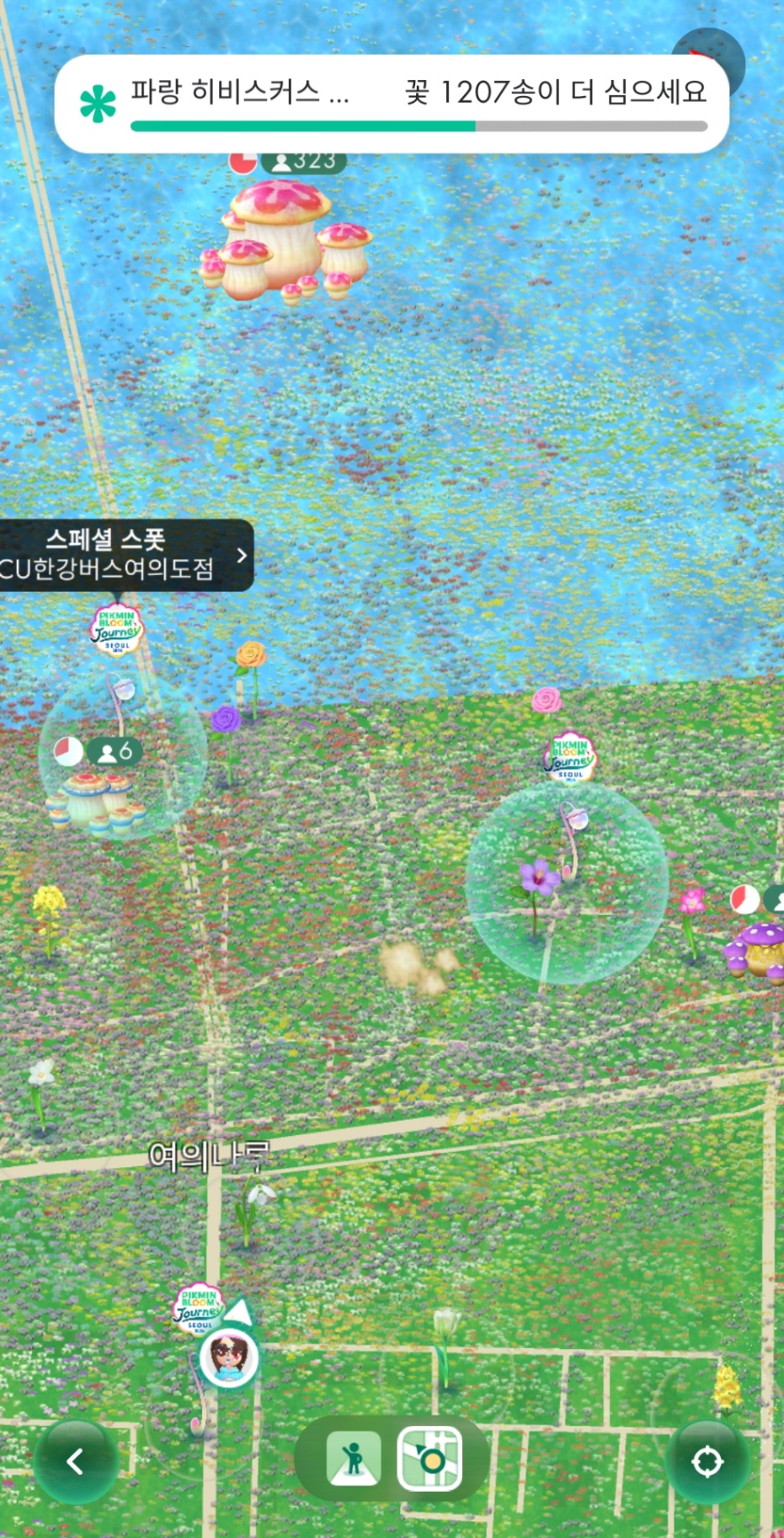 Screenshot_20260524_111015_Pikmin Bloom.jpg